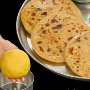 Puran Premix